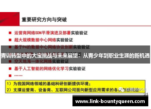 青训转型中的大宝挑战与未来展望：从青少年到职业生涯的新机遇