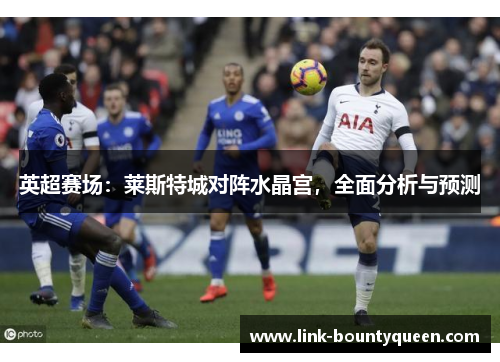 英超赛场：莱斯特城对阵水晶宫，全面分析与预测