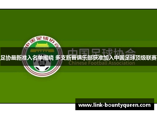 足协最新准入名单揭晓 多支新晋俱乐部获准加入中国足球顶级联赛