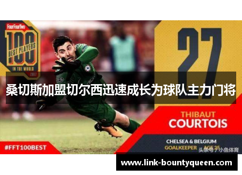 桑切斯加盟切尔西迅速成长为球队主力门将